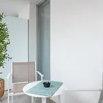 Sea Breeze * Cala Millor (Mallorca)